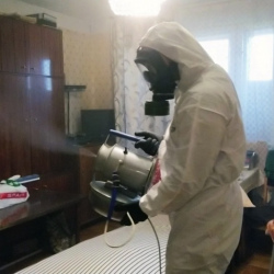 Дезинфекция от клопов в Зеленоградске
