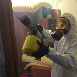 Уничтожение клопов в квартире. Зеленоградск